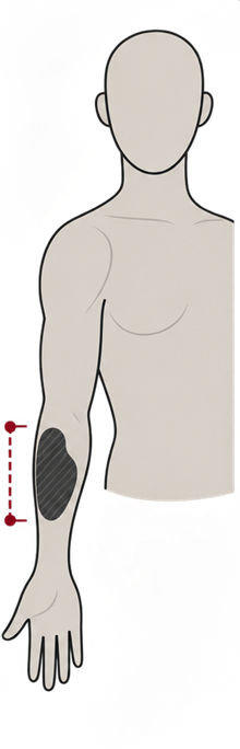 Diagram showing the approximate scale of a detailed two-hour tattoo