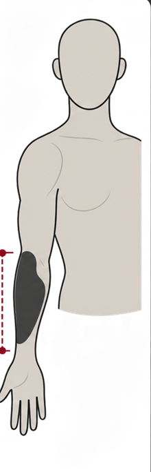 Diagram showing the approximate scale of a medium four-hour tattoo